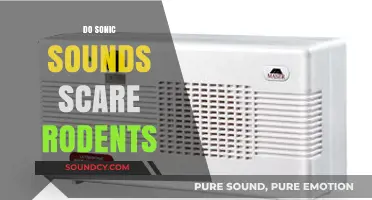 Do Sonic Sounds Scare Rodents? Unveiling the Truth Behind Pest Control