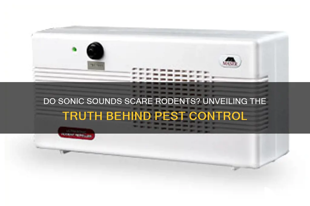 do sonic sounds scare rodents