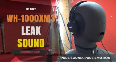 Sony WH-1000XM3: Do They Leak Sound?