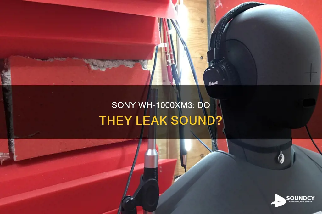 do sony wh-1000xm3 leak sound