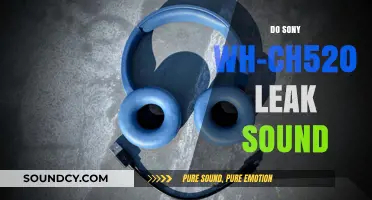 Sony WH-CH520: Sound Leaks?