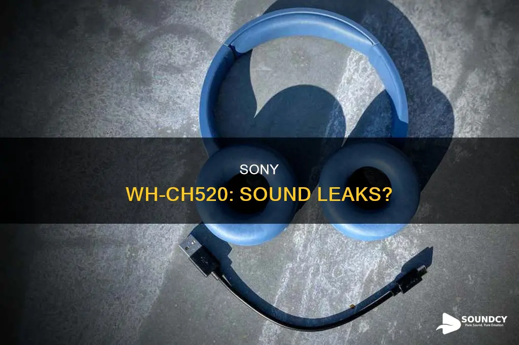 do sony wh-ch520 leak sound