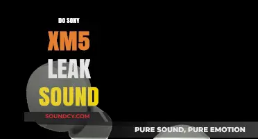 Sony XM5 Sound Leakage: Fact or Fiction? Our Honest Review
