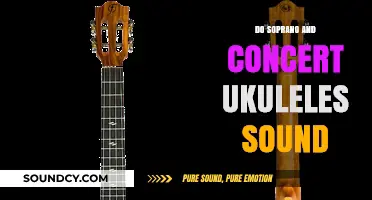 Soprano vs. Concert Ukulele: What's the Real Difference?