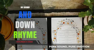 Do Sound and Down Rhyme? Exploring Homophones in the English Language
