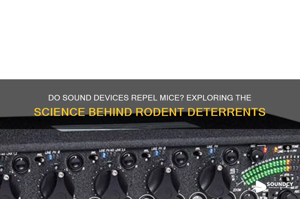 do sound devices repel mice