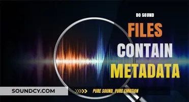 Exploring Hidden Data: Do Sound Files Contain Metadata?