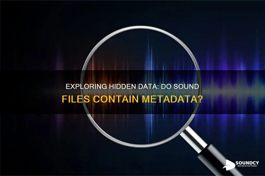 do sound files contain metadata
