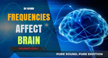 How Sound Frequencies Influence Brain Waves and Cognitive Function