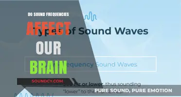 Sound Frequencies: Brain Waves and Their Impact