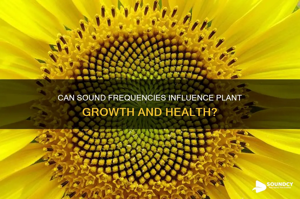 do sound frequencies affect plants