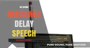 Sound Machines and Speech Development: Unraveling the Delay Debate