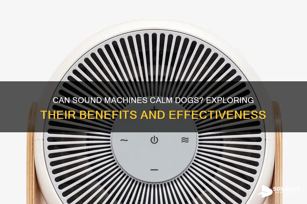do sound machines help dogs