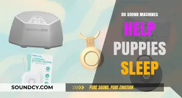 Sound Machines: Can They Help Puppies Sleep Better?