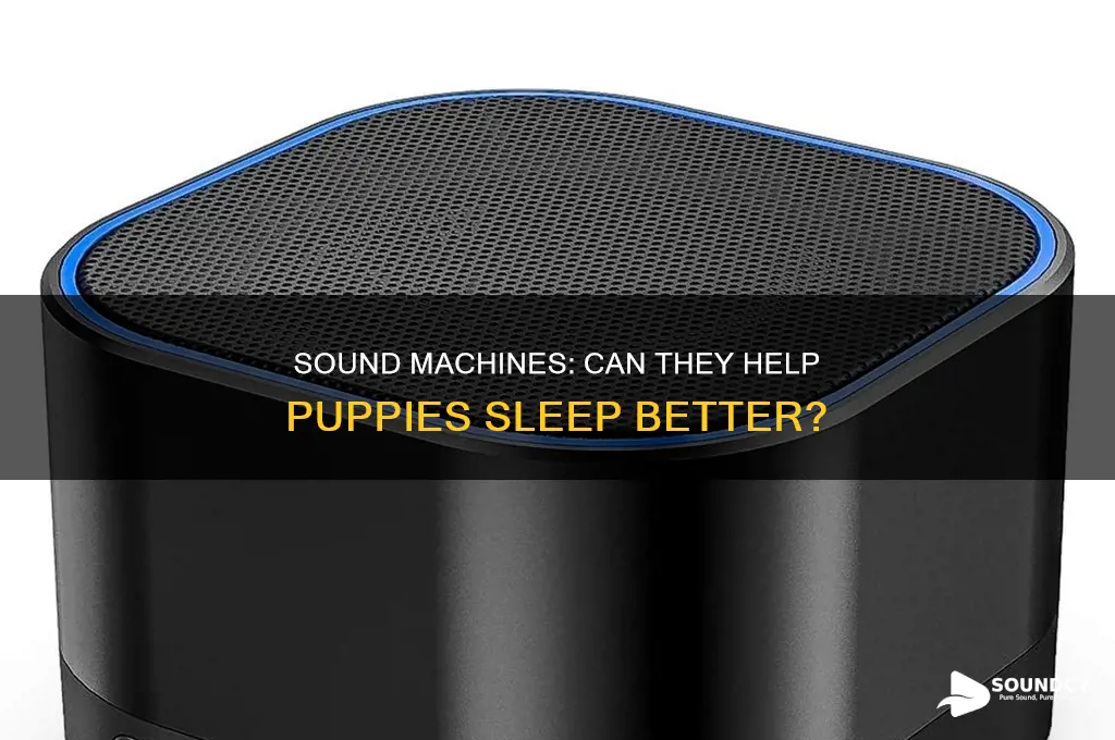 do sound machines help puppies sleep