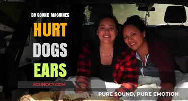 Sound Machines: Are They Safe for Dogs?