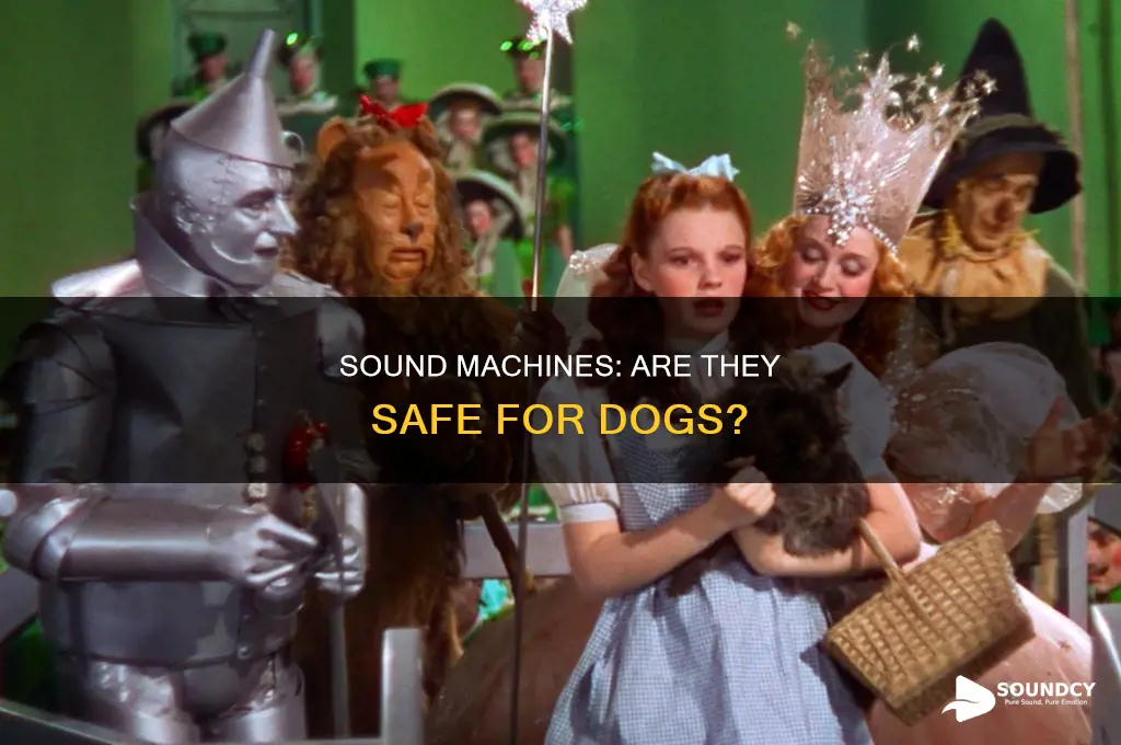 do sound machines hurt dogs ears