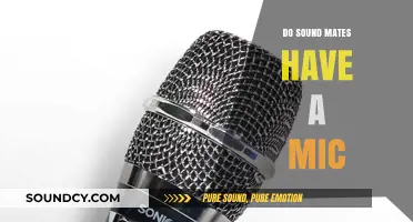 Sound Mates: Do They Have a Mic?
