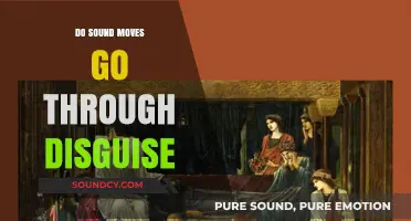 How Sound Moves Through Disguises