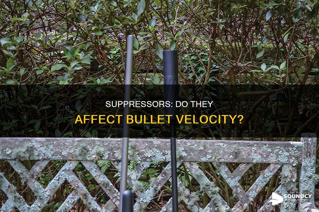 do sound suppressors slow down bullets