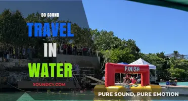 Does Sound Travel in Water? Unveiling the Aquatic Acoustic Mystery