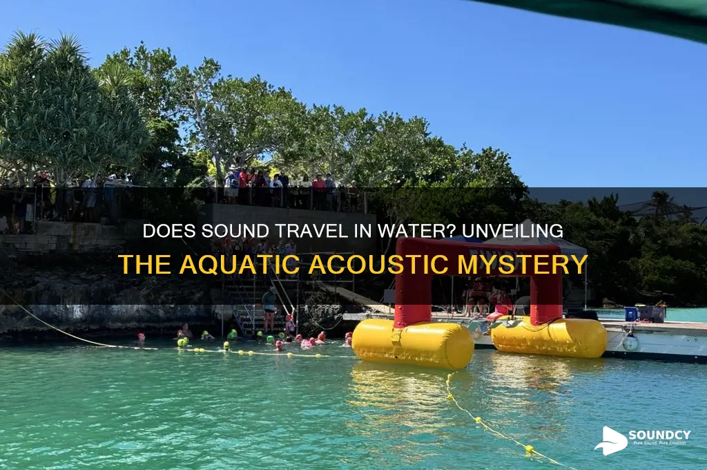 do sound travel in water