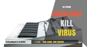 Can Sound Vibrations Destroy Viruses? Exploring the Science Behind the Claim