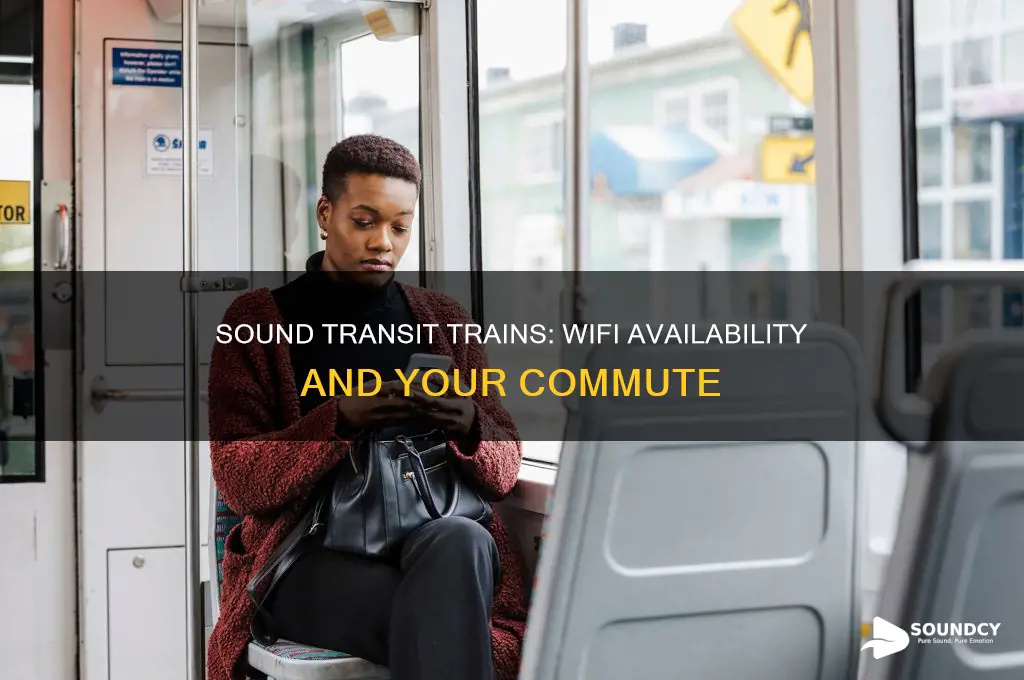 do sounder transit trains have wifi