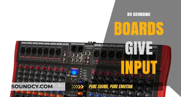 Sounding Boards: Do They Offer Valuable Input or Just Echo Ideas?