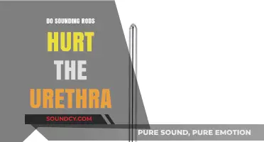 Sounding Rods: Pleasure or Pain in the Urethra?