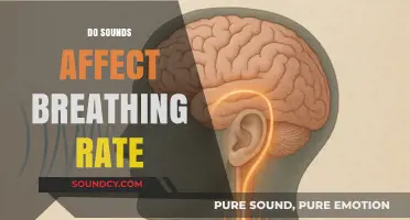 How Sounds Influence Breathing Patterns: Uncovering the Auditory-Respiratory Connection