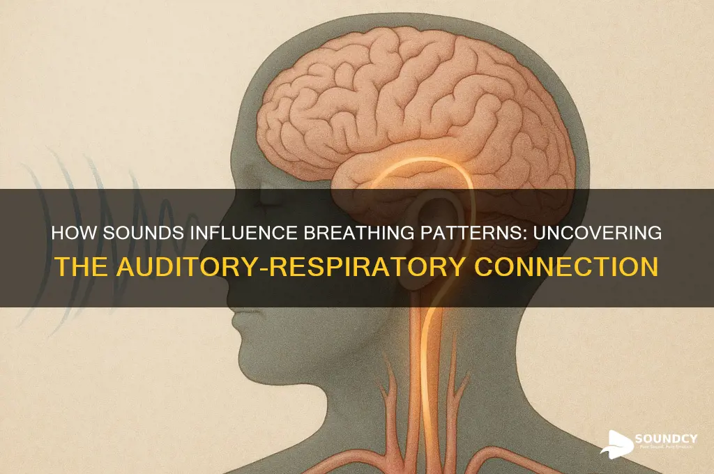 do sounds affect breathing rate