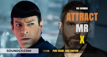 Do Sounds Lure Mr. X? Unraveling the Mystery of Auditory Attraction