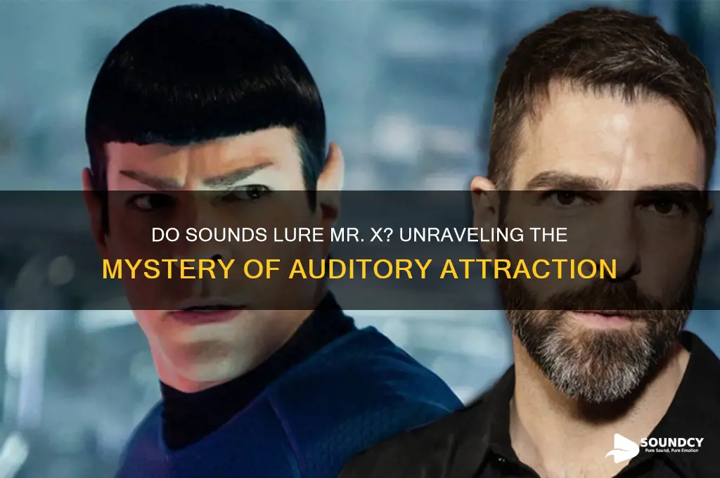 do sounds attract mr x
