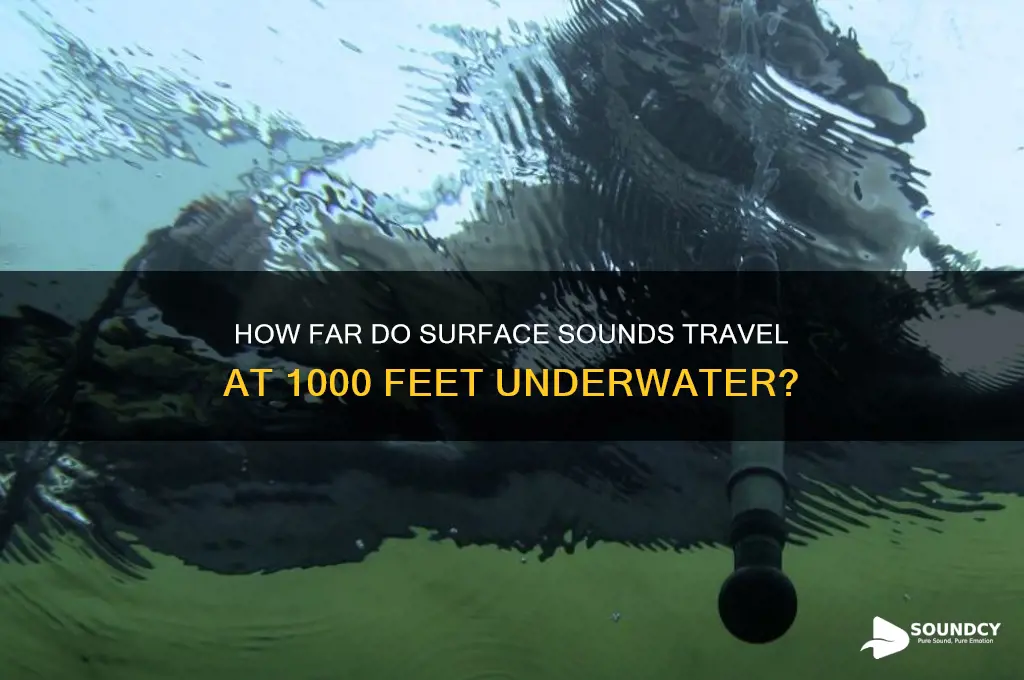 do sounds from surface travel at 1000 ft underwater
