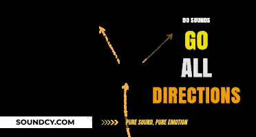 Do Sounds Travel in All Directions? Exploring Acoustic Propagation