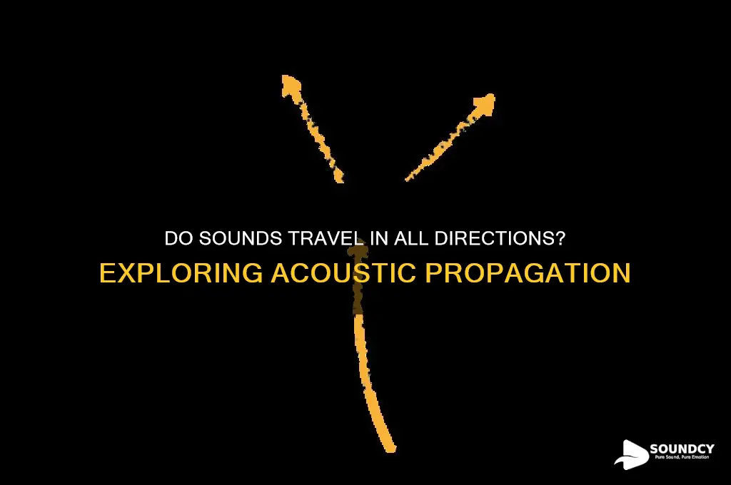 do sounds go all directions