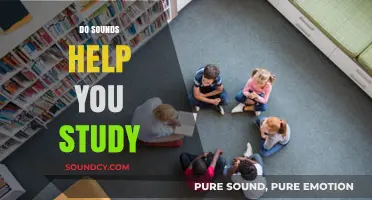 Can Background Noise Boost Focus? Exploring Sounds for Effective Studying