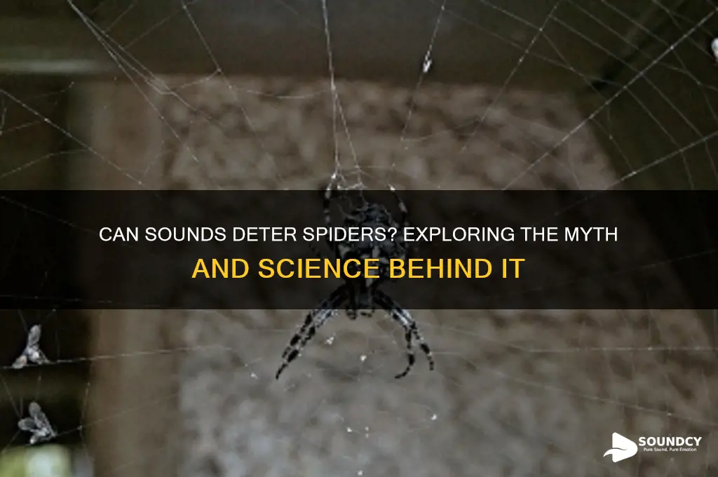 do sounds keep spiders aways
