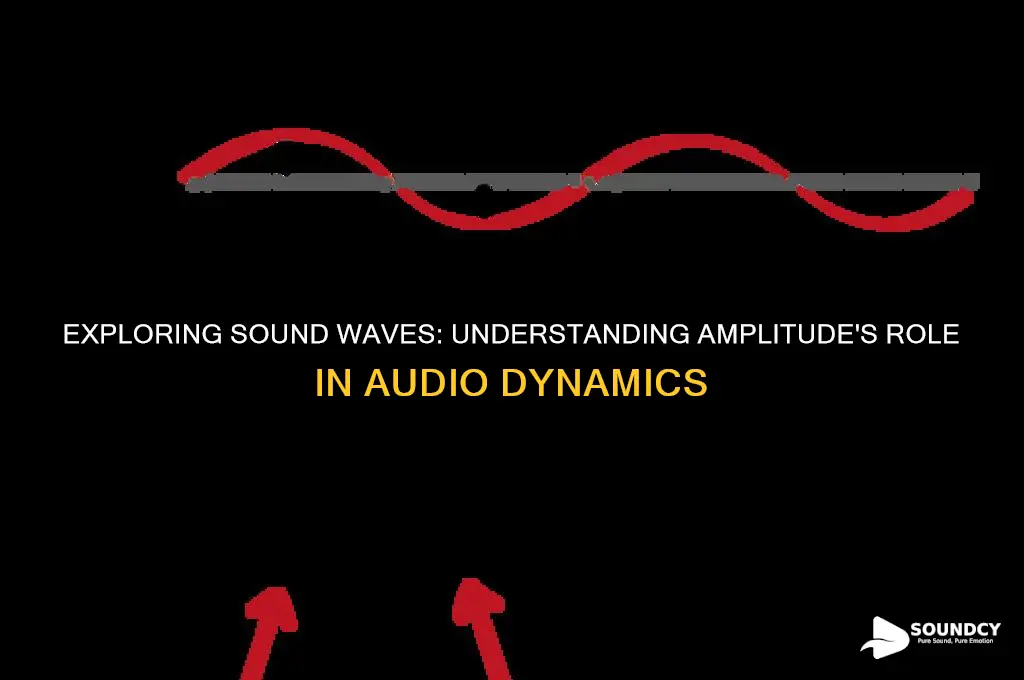do sounds waces have amplitude