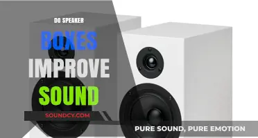 Enhancing Audio: Do Speaker Boxes Truly Improve Sound Quality?