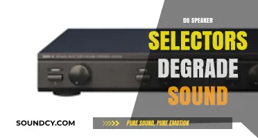 Do Speaker Selectors Degrade Sound Quality? A Comprehensive Analysis