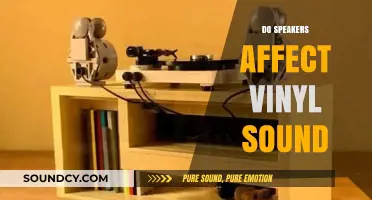 How Speakers Influence Vinyl Sound Quality: A Comprehensive Guide