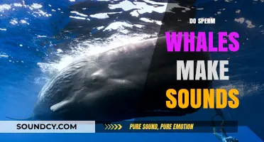 Unveiling the Sonic World: Do Sperm Whales Make Sounds?