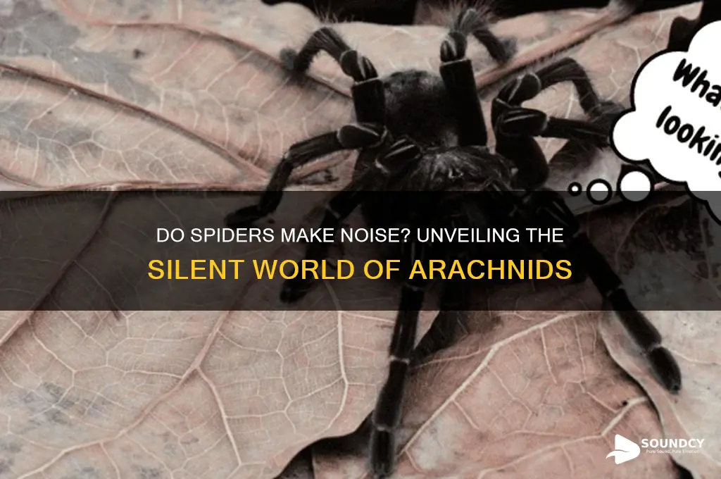 do spiders make a sound