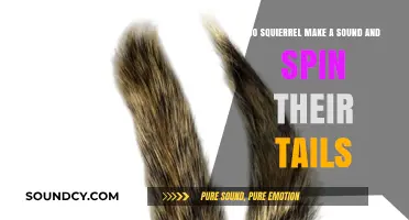 Squirrel Sounds and Tail Spins: Uncovering Their Unique Communication Methods