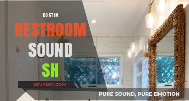Public Restroom Acoustics: Why Do They Sound So Strange?