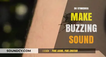 Do Stinkbugs Buzz? Uncovering the Truth About Their Noisy Reputation