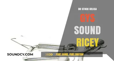 Celica Stock Exhaust: Ricey or Nicey?