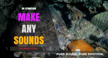 Unveiling the Silent World: Do Stonefish Produce Any Sounds?